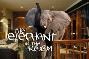 elephantintheroom